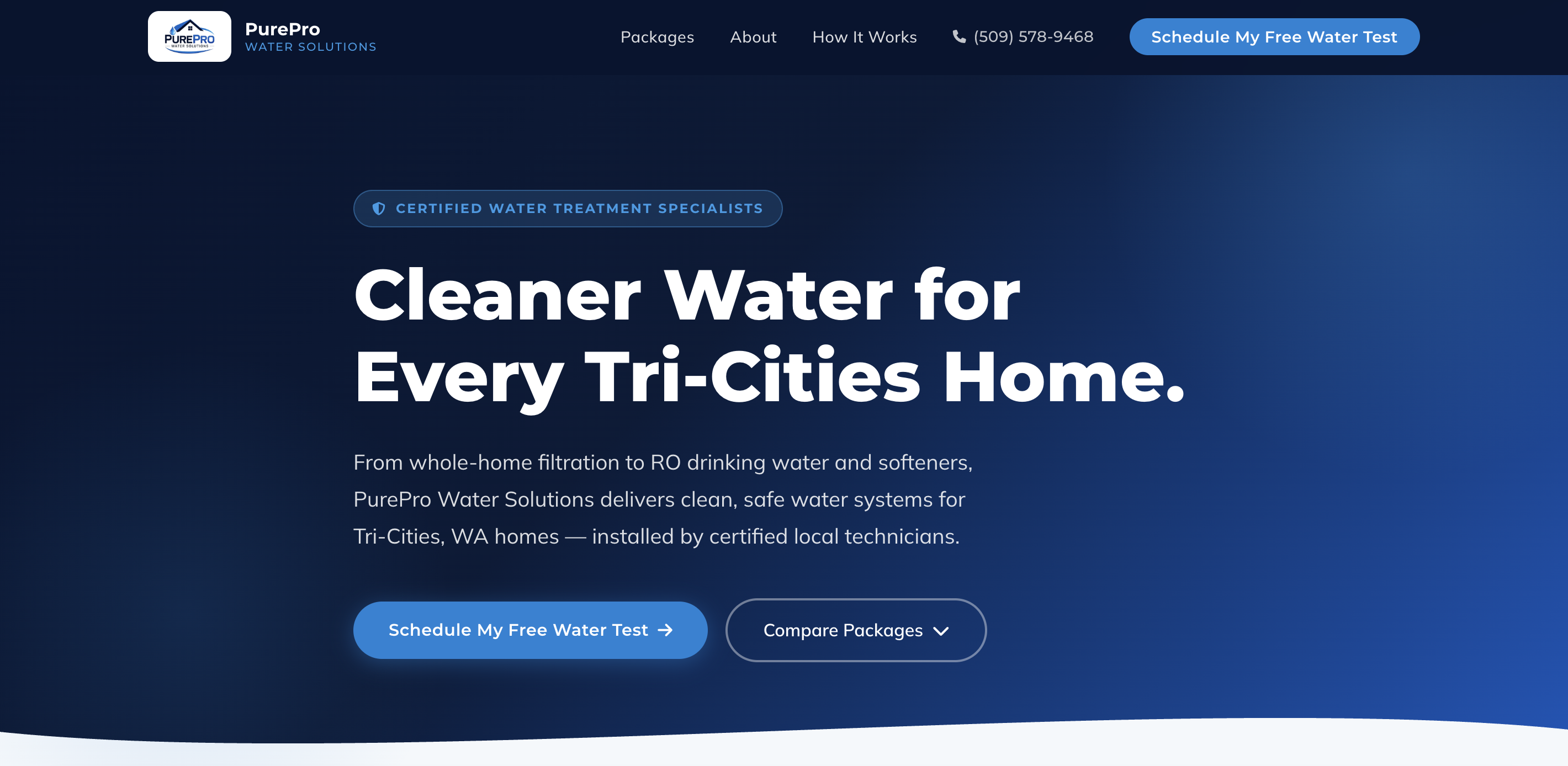 Screenshot of the PurePro Home Solutions website hero section